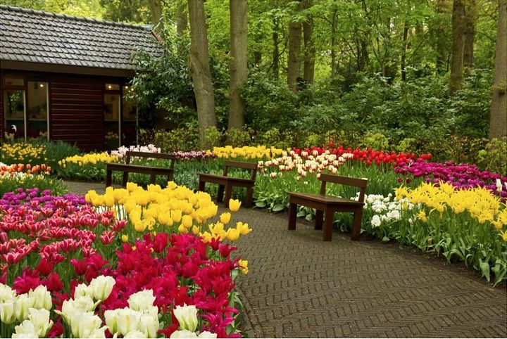 share your garden pride , container gardening, flowers, gardening, repurposing upcycling