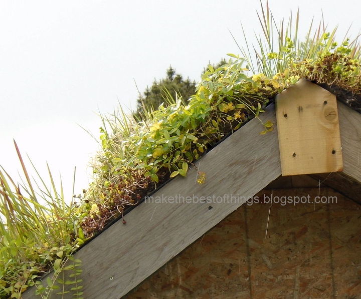 um telhado vivo para o nosso galpo de jardim feito de portes de casamento