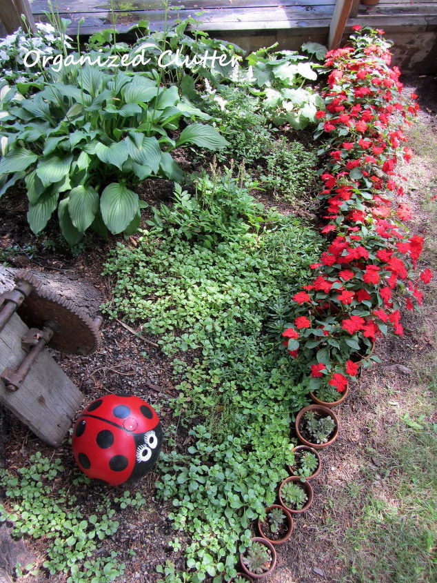 13 unique garden borders your neighbors will stop to admire, Fill a row of pots with flowers succulents