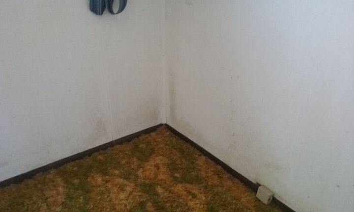 i need help finding source of and removing mold from walls, This is just one wall in one room The mold is in every corner and some along the wall as well as hall walls and other bedroom walls