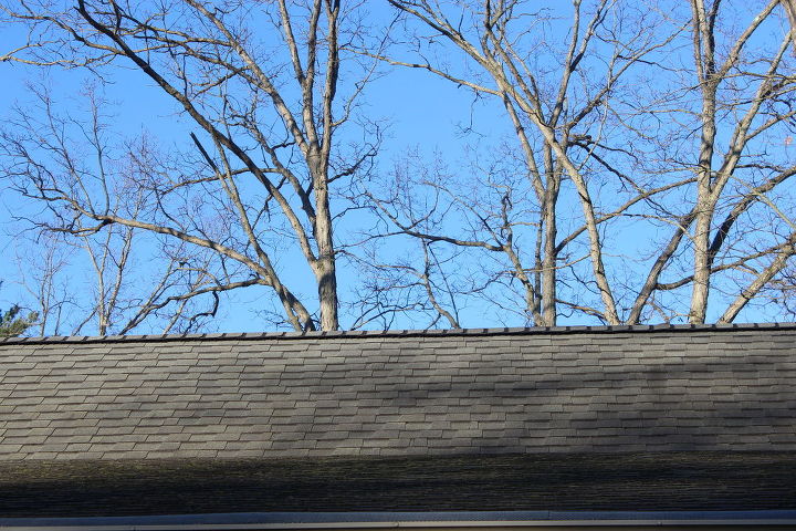 zinc strips on roof to help with roof moss do they work, Roof moss on country setting roof building after two rainy summers