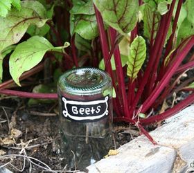 15 increbles ideas para el patio trasero con botellas de vino vacas, Clava botellas en el suelo como marcadores de plantas