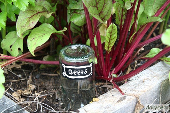 15 ideias incrveis de quintal com garrafas de vinho vazias, Marcadores de jardim de garrafas de vidro reciclado