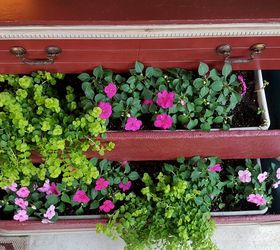 trash to repurposed life, container gardening, gardening, repurposing upcycling, placed long planters inside the drawers
