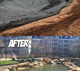 Large Scale Ecosystem Pond (Before & After)