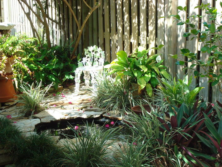 s 11 stunning flowers that thrive in shade, gardening, Make a small pond surrounded by tall grasses