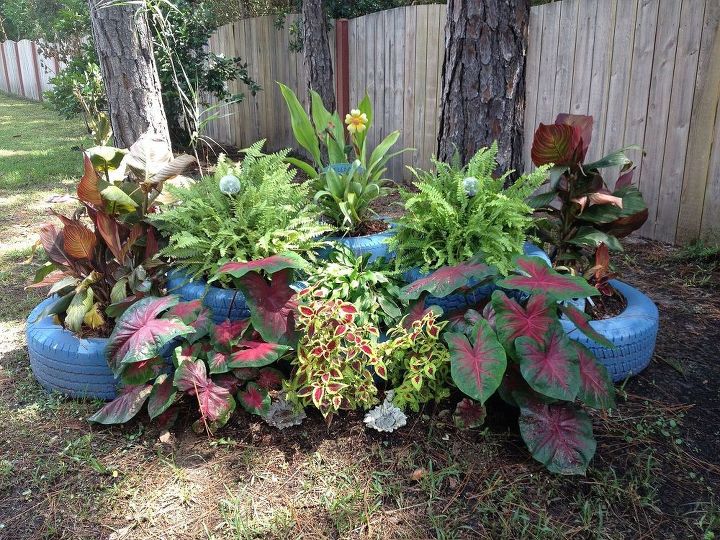 s 11 stunning flowers that thrive in shade, gardening, Show off your shade plants with fun planters