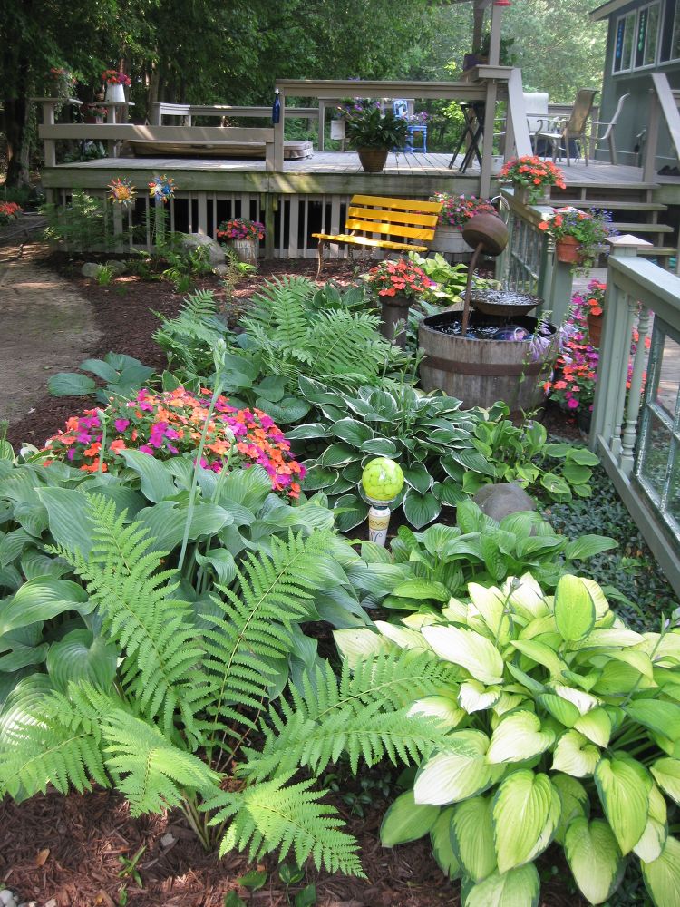 11 Stunning Flowers that Thrive in Shade Hometalk