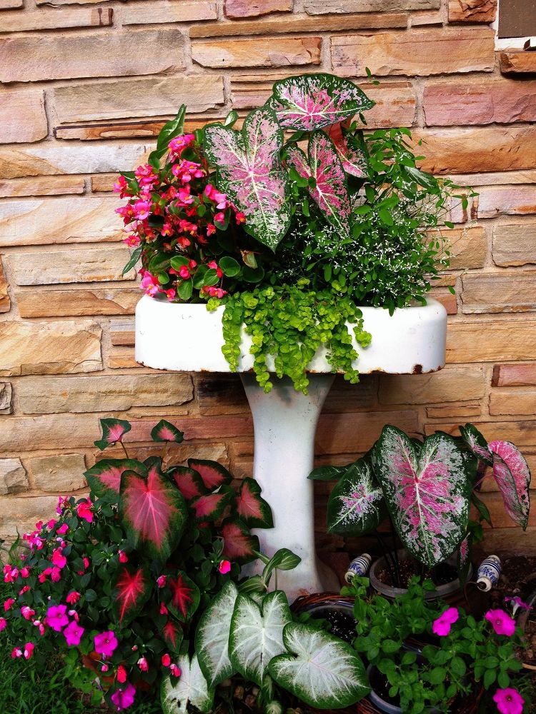 15 Whimsical Ways to Use Old Furniture in Your Flower Bed
