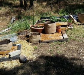 above ground 2016, gardening, outdoor living