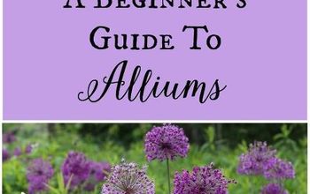 Guía para principiantes sobre los alliums