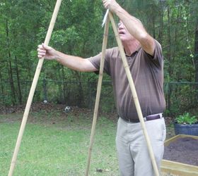how to build a bamboo pole bean teepee frame, gardening, how to, outdoor furniture, outdoor living, raised garden beds