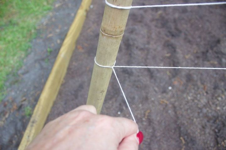 how to build a bamboo pole bean teepee frame, gardening, how to, outdoor furniture, outdoor living, raised garden beds
