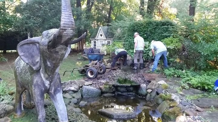 pond makeover in bedford hills ny, landscape, ponds water features