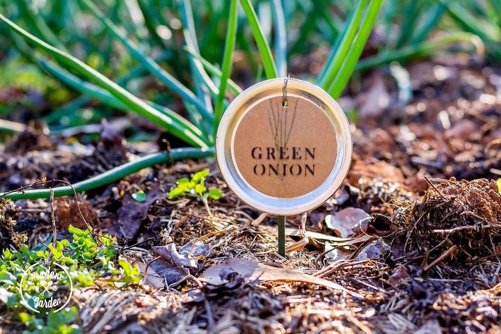 s 12 adorable plant markers from your junk drawer, gardening, repurposing upcycling, Pull out some leftover mason jar lids