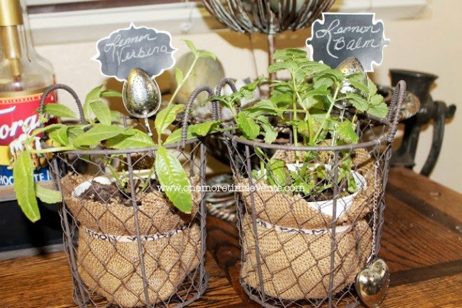 s 12 adorable plant markers from your junk drawer, gardening, repurposing upcycling, Take out those never been used tea infusers