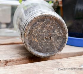 super easy rooting of roses from cuttings, flowers, gardening, how to