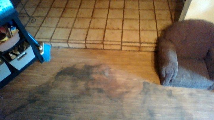 What Caused These Black Spots On My Vinyl Floors Hometalk