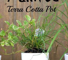 silly painted terra cotta pots, container gardening, crafts, gardening, how to