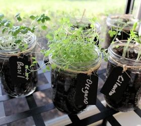 s 11 gardening hacks using empty glass jars, gardening, repurposing upcycling, Fit an entire herb garden on your windowsill