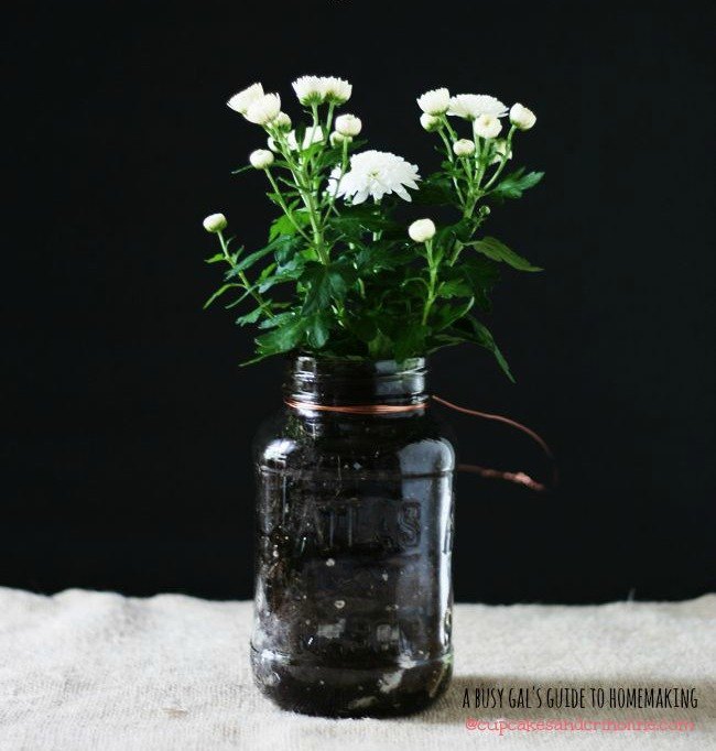 s 11 gardening hacks using empty glass jars, gardening, repurposing upcycling, Bring cuttings from your yard in for winter