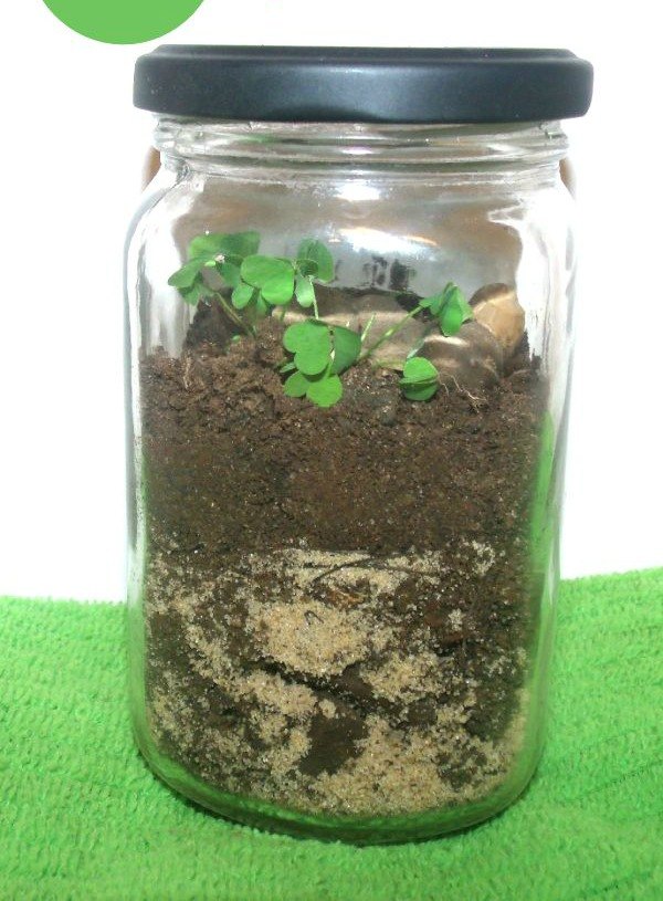 s 11 gardening hacks using empty glass jars, gardening, repurposing upcycling, Keep a terrarium cozy moist in a small jar