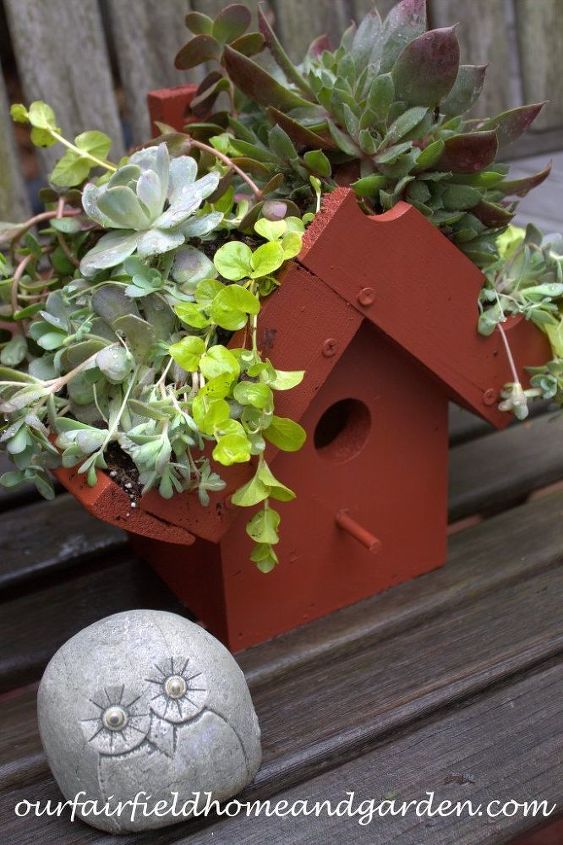 easy diy green roof birdhouses, container gardening, gardening, pets animals, Plant your Green Roof Birdhouse