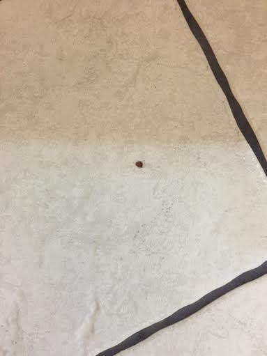 how can we cover up chipped spots on our kitchen tiles