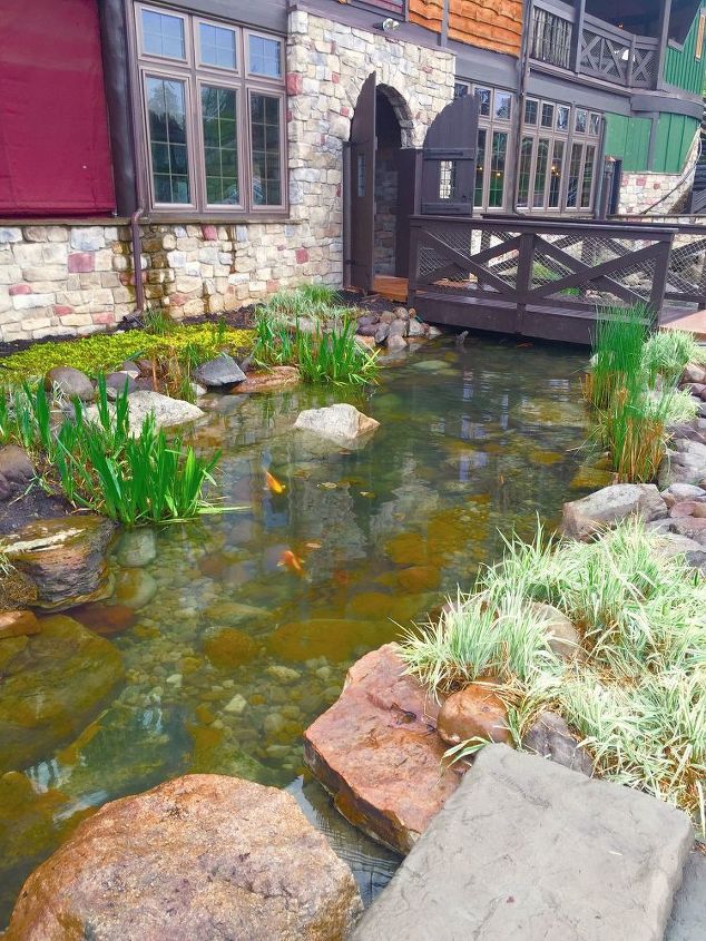 heavy duty pond clean out, cleaning tips, outdoors cleaning, ponds water features