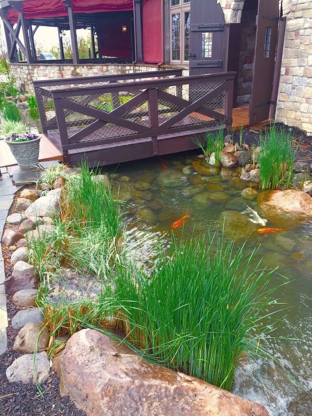 heavy duty pond clean out, cleaning tips, outdoors cleaning, ponds water features