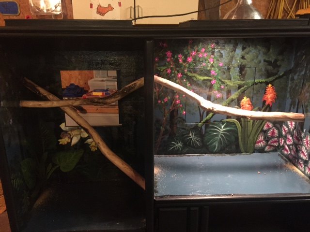 repurposed entertainment center for slimy critter fanatics