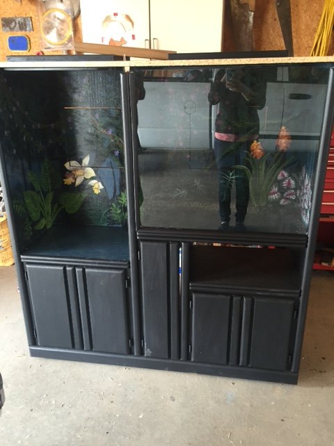 repurposed entertainment center for slimy critter fanatics