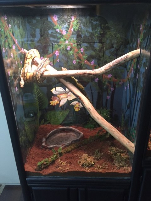 repurposed entertainment center for slimy critter fanatics
