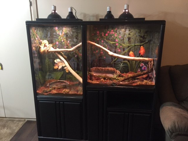 repurposed entertainment center for slimy critter fanatics