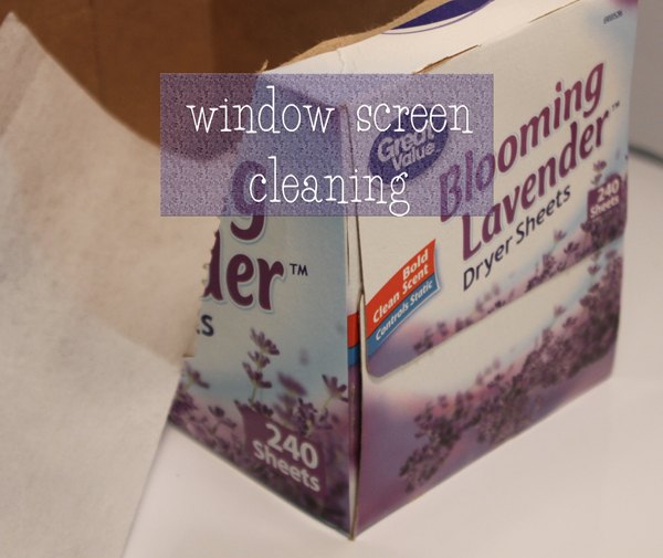 window screen cleaning tip, cleaning tips, window treatments, windows