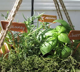 hanging strainer herb basket, container gardening, crafts, gardening, repurposing upcycling