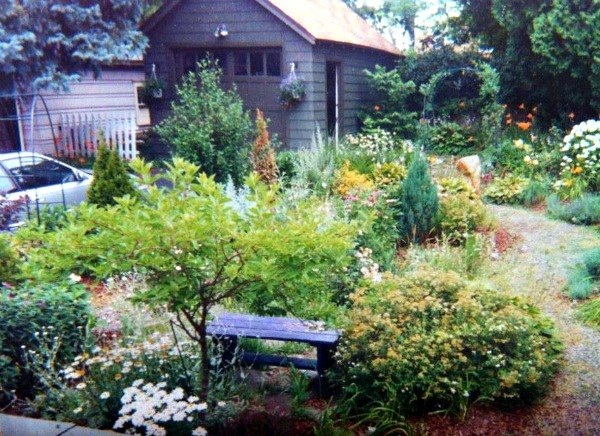 13 best gardening tips for a gorgeous budget friendly oasis, gardening, how to, outdoor living