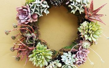 5 Easy Steps To Making A Living Succulent Wreath