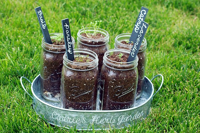 herb garden with personalized tin, container gardening, gardening, how to, mason jars