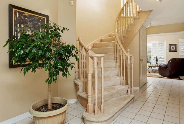curved staircase remodel before afte, home improvement, stairs