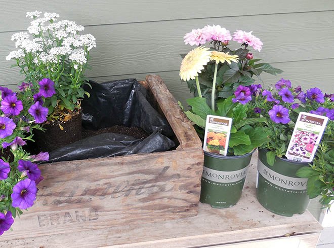 diy clean draining planter box, container gardening, diy, gardening, how to