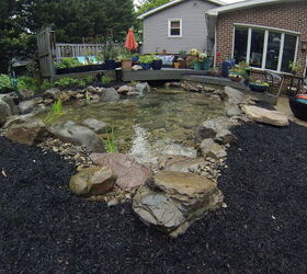 out with the old pond in with the new, outdoor living, ponds water features