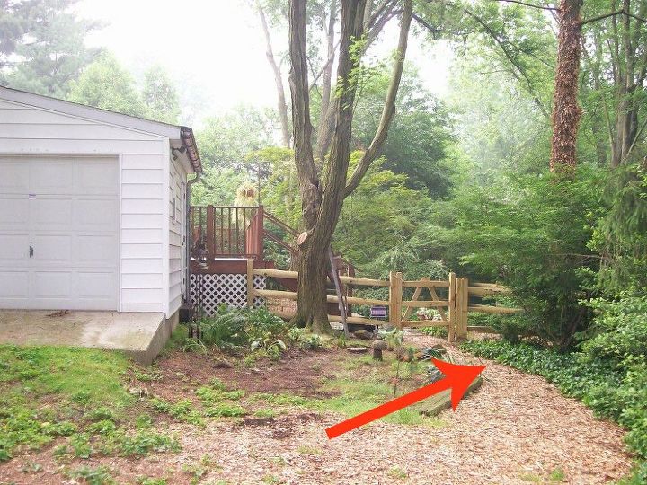 11 beautiful plants that are secretly killing your garden, English Ivy