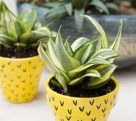 pineapple flower pots, container gardening, crafts, gardening
