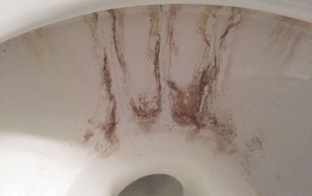 Removing Nasty Toilet Stains