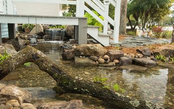 Pondtastic Water Gardens ayuda a construir el estanque de sus sueños en Titusville, Centra