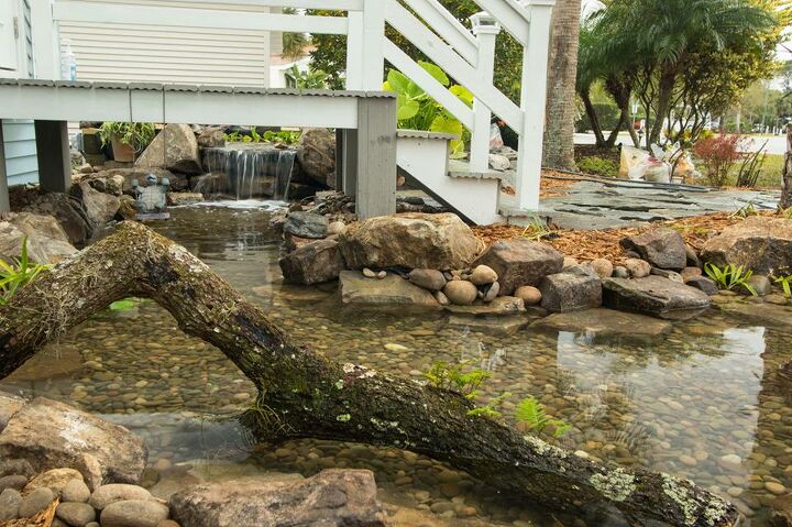 pondtastic water gardens ajuda a construir o lago dos seus sonhos em titusville