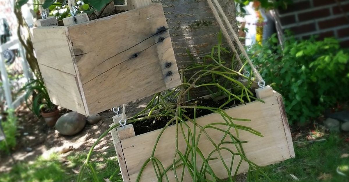 DIY Small Hanging Planter From Pallet Wood DIY Small Hanging Planter From Pallet Wood