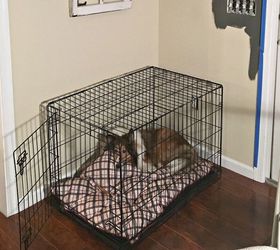 beautify your dog s crate with this simple table build, painted furniture, pets, pets animals, woodworking projects