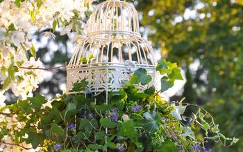 An Ivy-filled Birdcage for Part-Shade